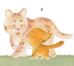 猫和老虎的故事