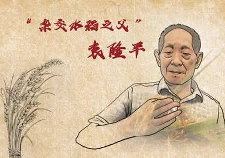 杂交水稻之父袁隆平的故事